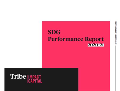 SDG Performance Report (2020-2021)