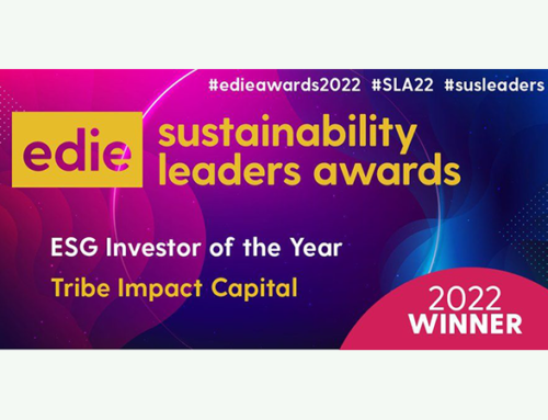 ESG Investor of the Year winner