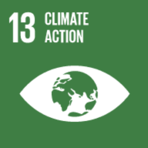 13 climate-action SDG
