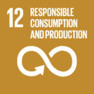 12 responsible-consumption-and-production SDG