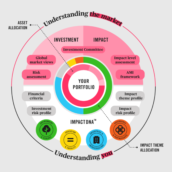 Tribe investment process