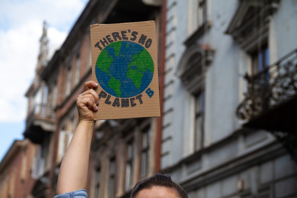 Protester holding sign with slogan There's no planet B. Woman with placard at protest rally demonstration, strike against global warming and climate change.