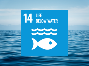 Investing in SDG 14: Life Below Water