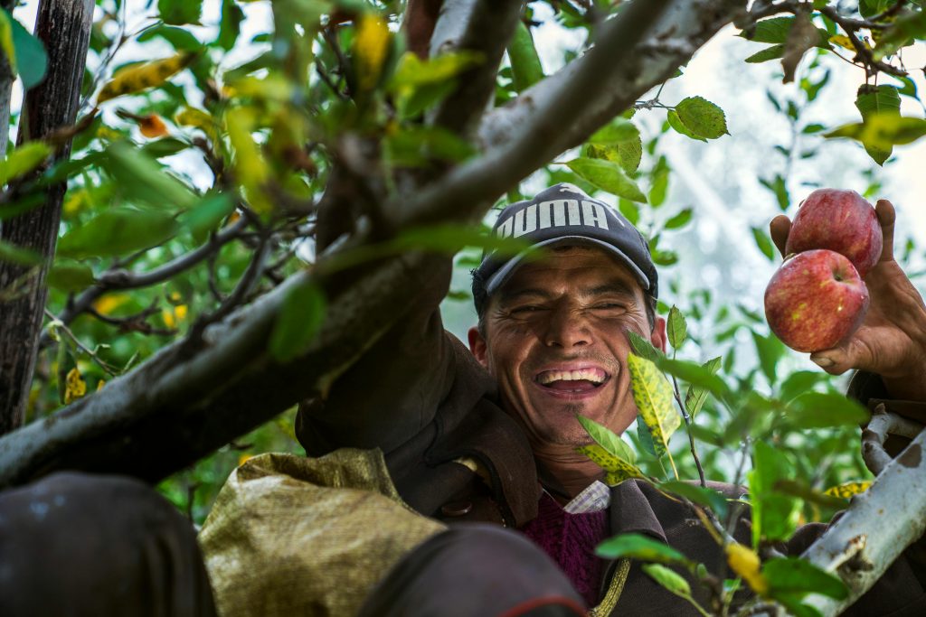 man behind branches in an apple tree smiling