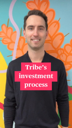 Tribe's investment process Tribe's investment process